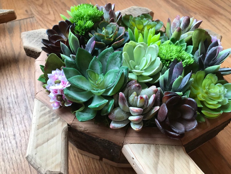 Vertical Succulent Planter Wooden Box Arrangement
