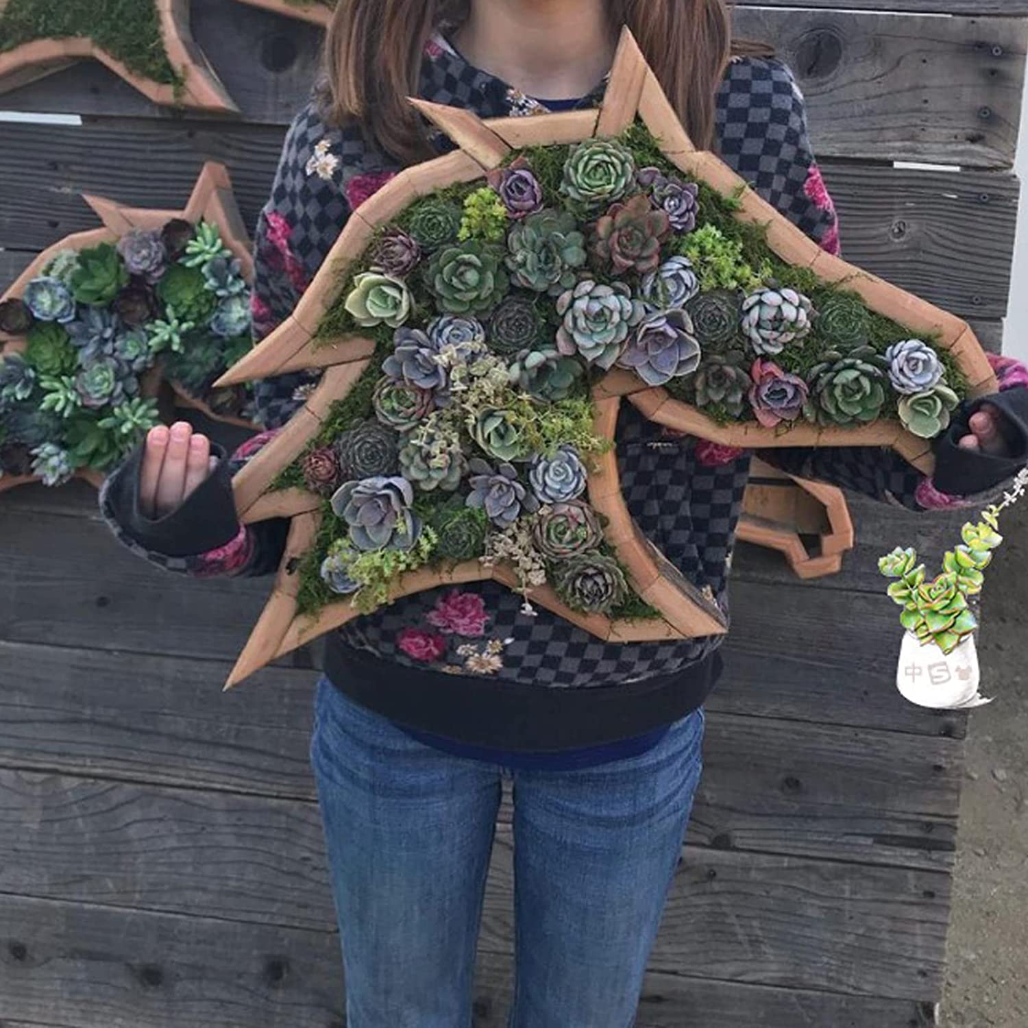 Animal Shaped Garden Arrangement Wooden Box Succulent Planter