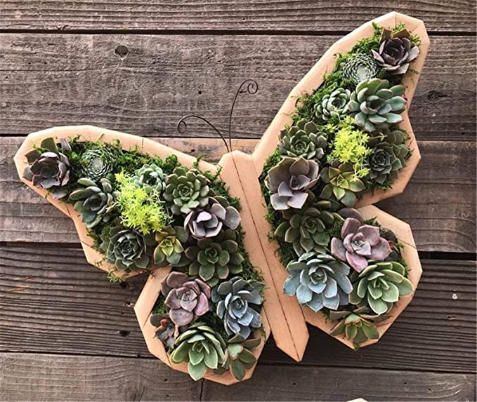 Vertical Succulent Planter Wooden Box Arrangement
