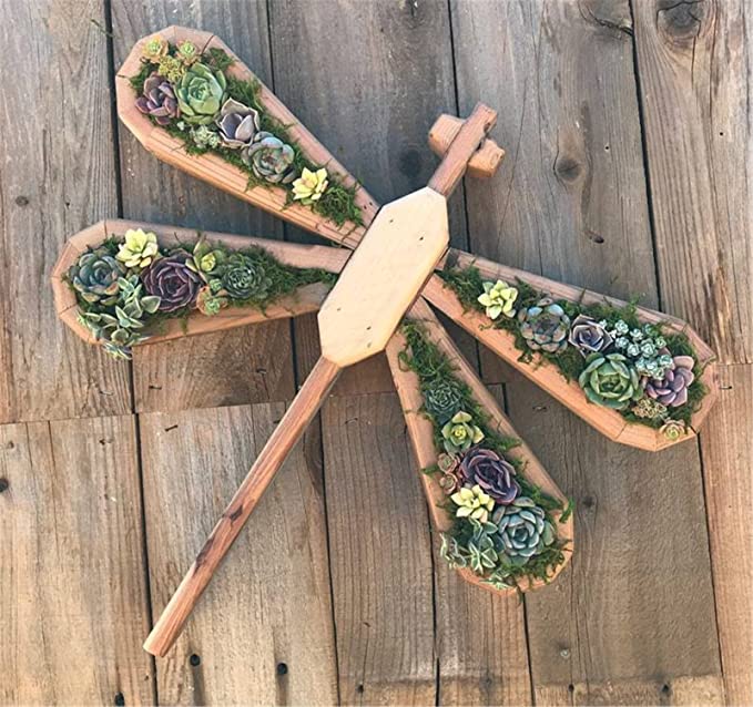 Vertical Succulent Planter Wooden Box Arrangement