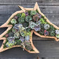 Vertical Succulent Planter Wooden Box Arrangement