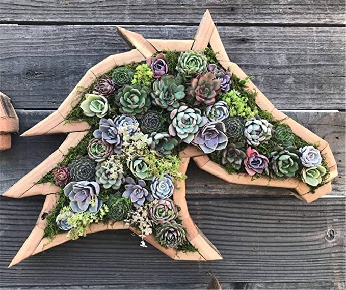 Vertical Succulent Planter Wooden Box Arrangement