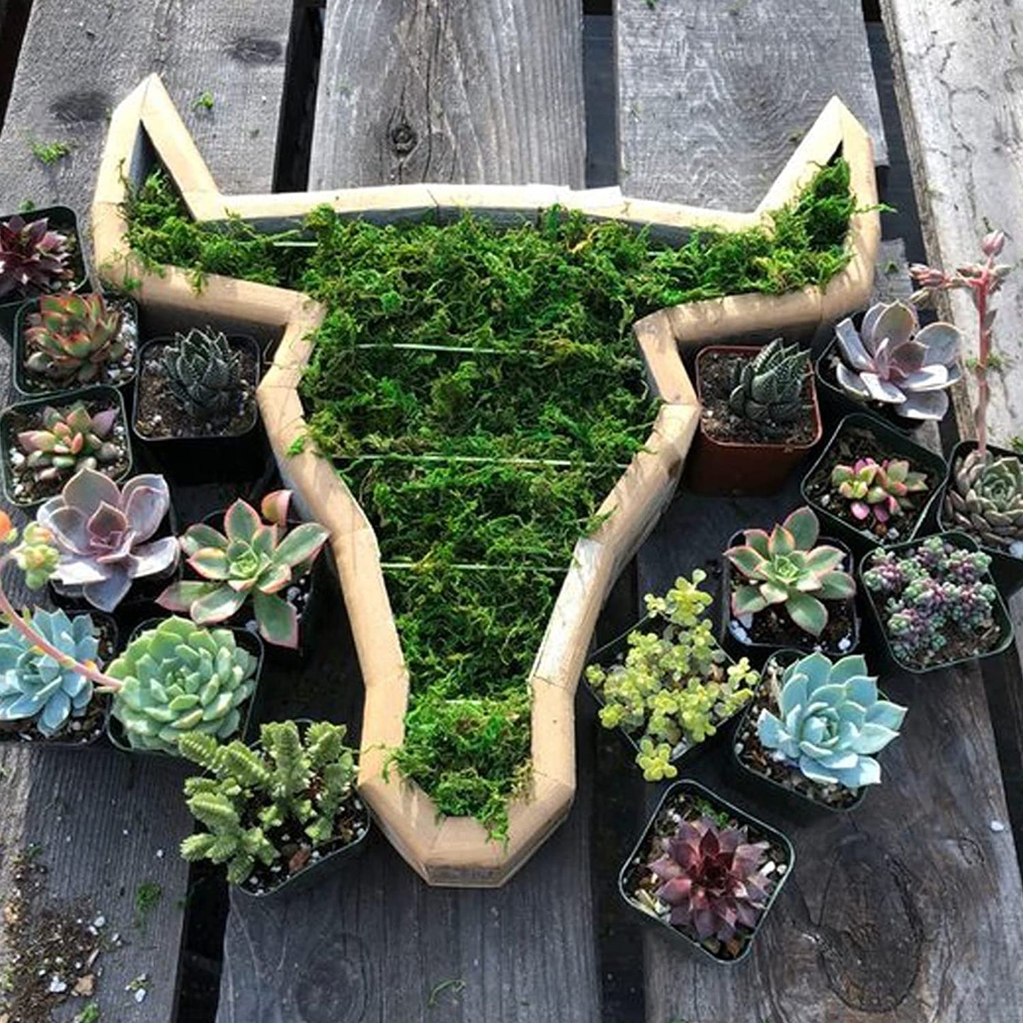 Animal Shaped Garden Arrangement Wooden Box Succulent Planter