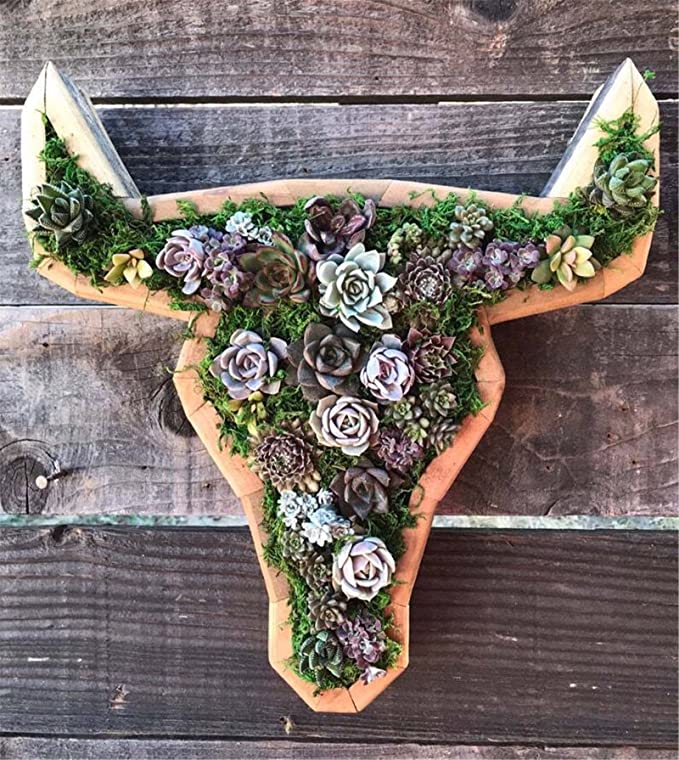 Vertical Succulent Planter Wooden Box Arrangement