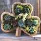 Vertical Succulent Planter Wooden Box Arrangement